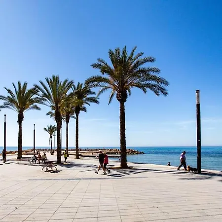 Ramon Gallud 204 Torrevieja
